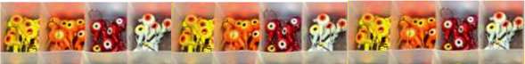 Jigs Of Many Colour