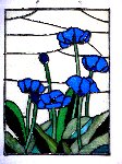 Blue Flowers